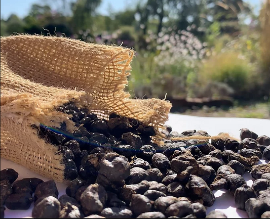 Organic Alpaca beans (dried manure)